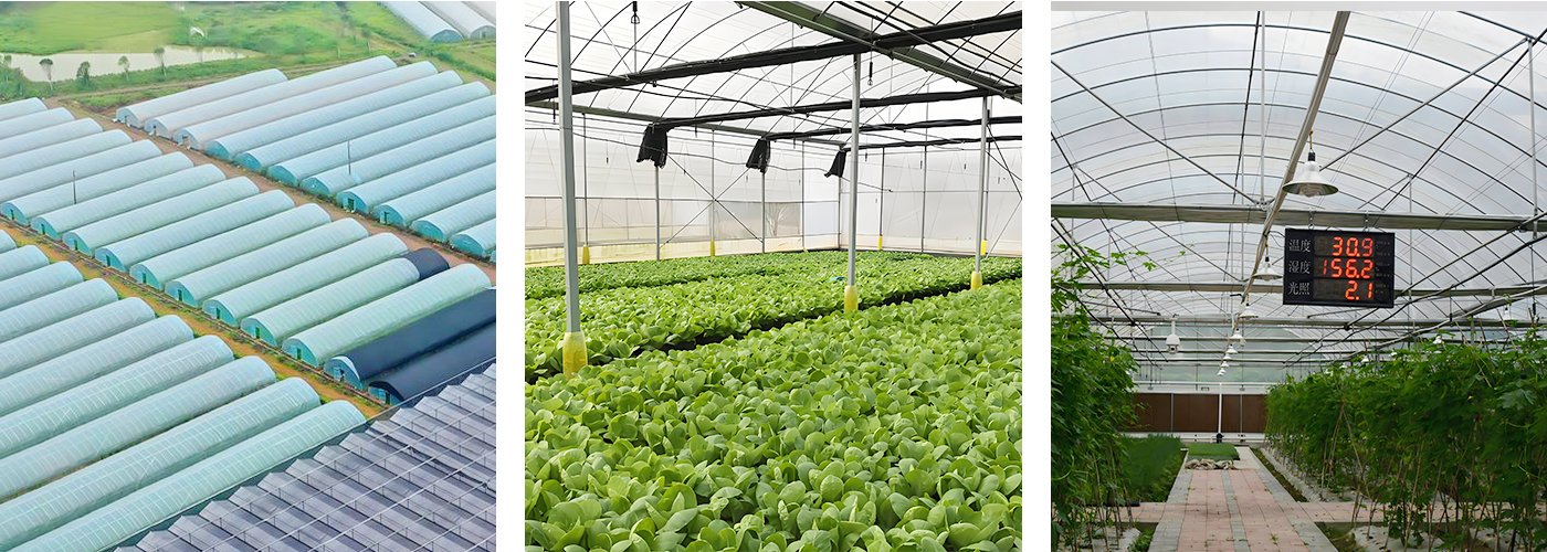 温湿度传感器在农业大棚应用